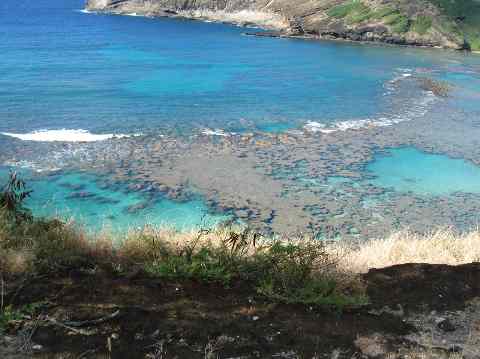 View of Hanauma Bay from above